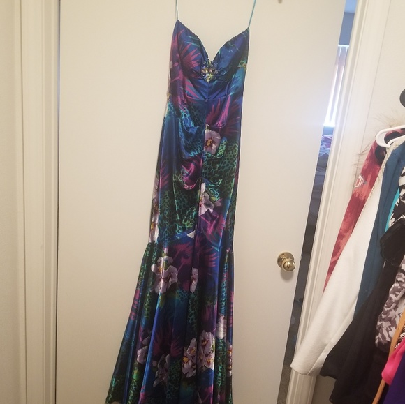 Prom dress/gown - Picture 1 of 4